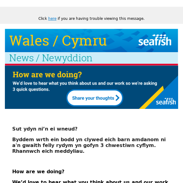 Wales Newsletter- Spotlight on what is happening!