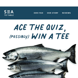 Test Your Salmon IQ & Win Cool Swag! 🏆