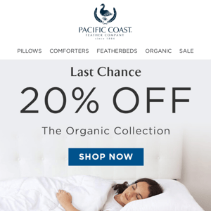 Last Chance: 20% OFF Beautiful Organic Cotton Covered Pillows