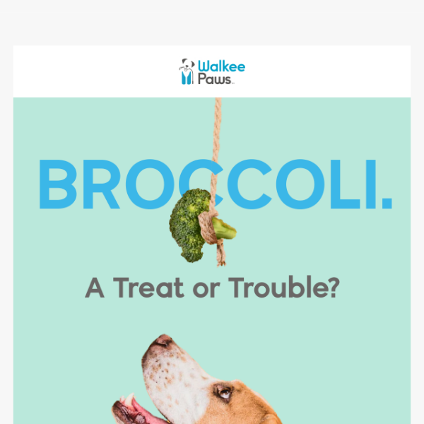 Can your 🐶 eat broccoli?
