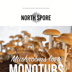 👉 20% off all Monotub Kits