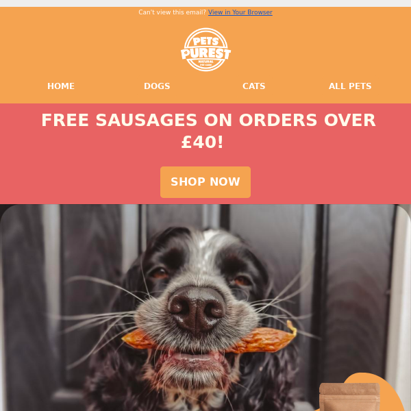 FREE Bag of sausage treats for your dog🧡