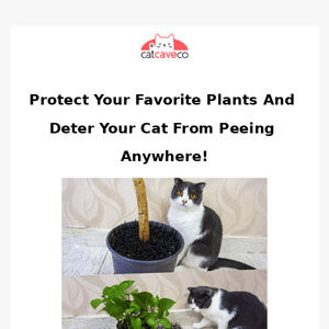 Protect Your Plants with Our New Cat Scat Mat! 🌿