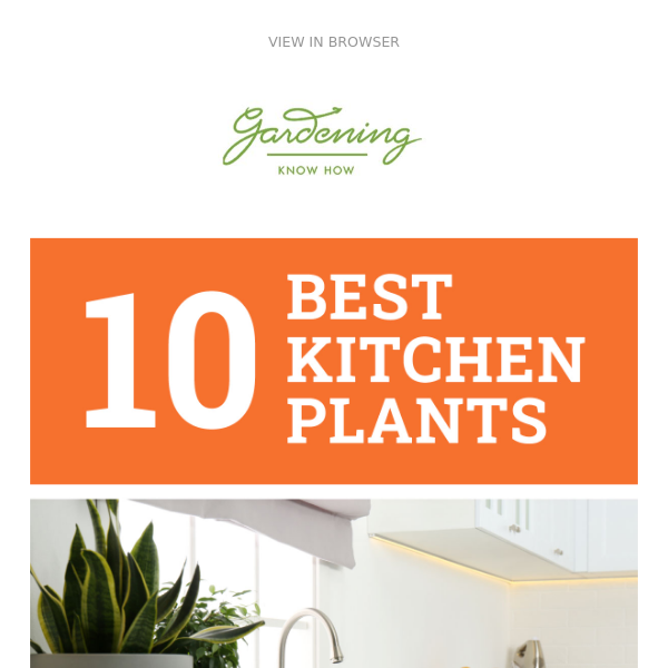 10 Best Kitchen Plants + Why Seeds Won’t Germinate + 15 Great Gardening Hacks