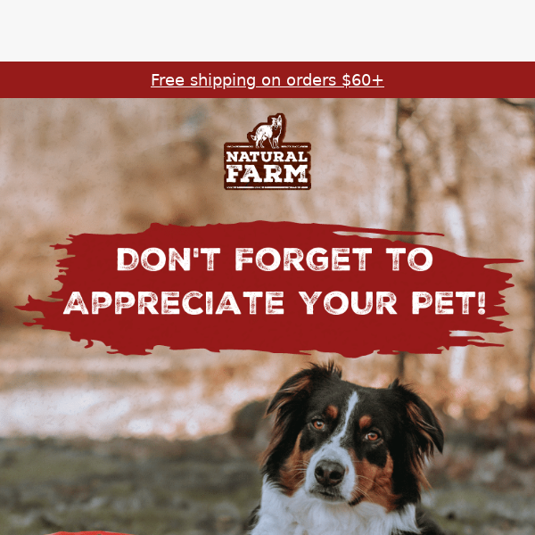 Closing Soon: Show Your Pet Appreciation Now!