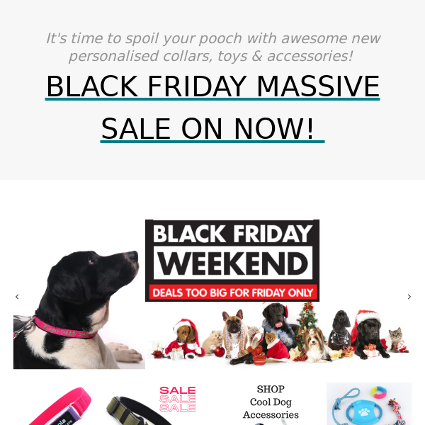 ⭐️MASSIVE Black Friday Sale Brand NEW Collar Designs