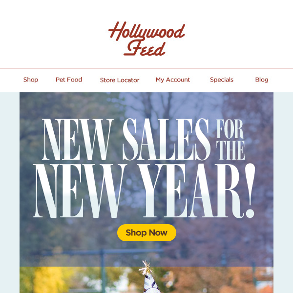 Hey Hollywood Feed! Shop New Sales for the New Year! 🥳🎆