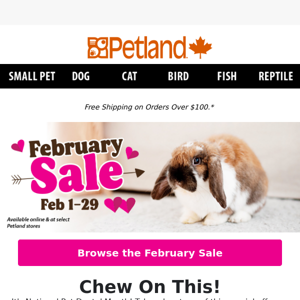 Treat Your Pets To a Month of Love with Savings ❤️