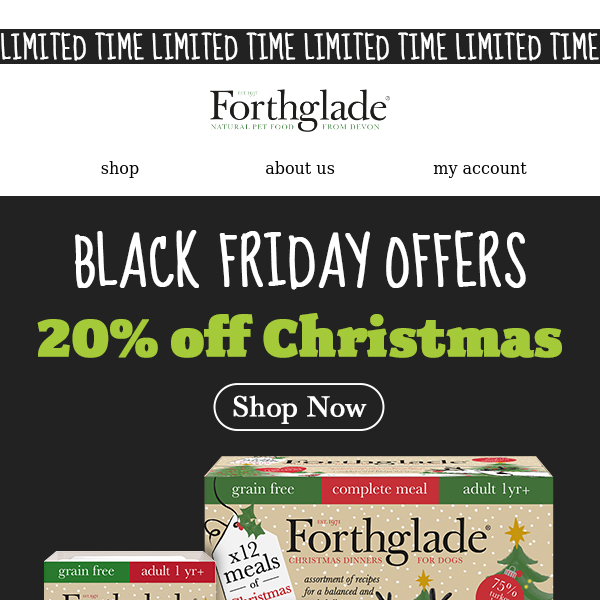 Black Friday Offer: 20% off Christmas