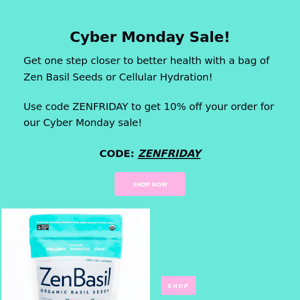 Cyber Monday Sale