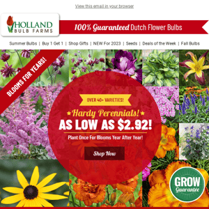 SHIPS QUICK 🚚 Perennials as LOW as $2.92!