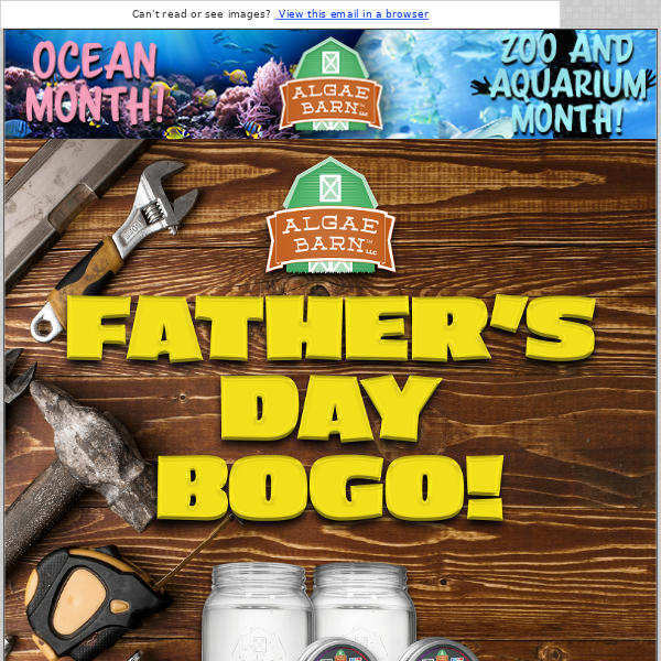 Fathers Day BOGO Ends Midnight Tonight! Did you win this week's FREE 4 Pack?