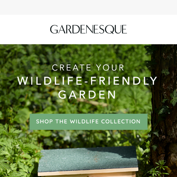 Create Your Wildlife-Friendly Garden