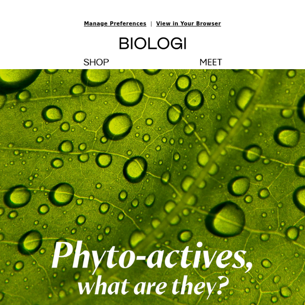 Phyto-actives, the need to know…