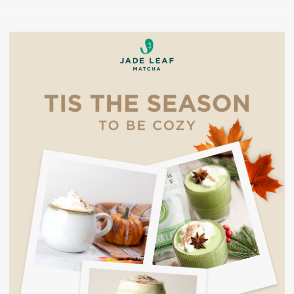 Autumn Leaves, Comfy Sweaters, and Matcha Lattes