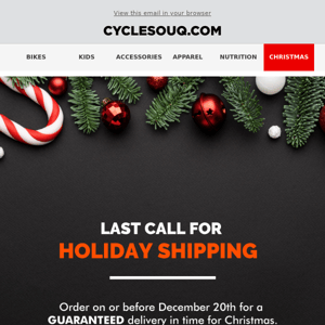 🎅Last Call For Holiday Shipping!