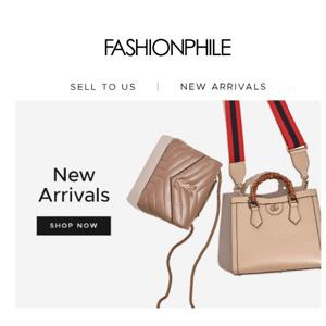 Exciting New Arrivals Just Landed!