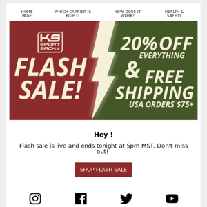 20% off Flash Sale!