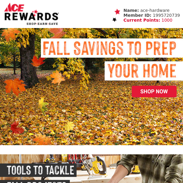 Don't Fall For The Ace Hardware Clearance Sale 90% Off Scam