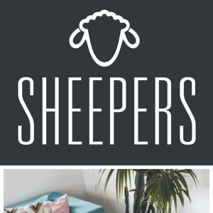 📣  LAST CHANCE! SHEEPSKIN SLIPPERS NOW £8 - EVERYTHING MUST GO! 📣