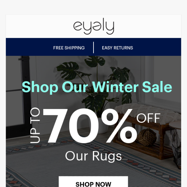 Save Big on Rugs During Eyely's Winter Sale