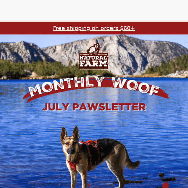 Monthly Woof! See what's new with us!