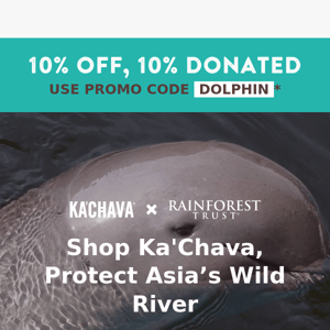 Save Asia’s last wild river for dolphins 🐬