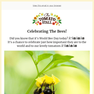 Celebrating our wonderful bees..