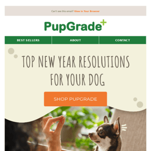 Top new year resolutions for your pup!