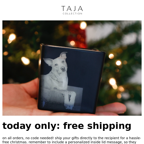 FREE SHIPPING 💥