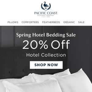 Hotel Pillows, Comforters, & Featherbeds Are 20% OFF