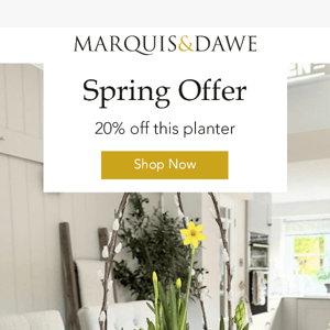 Spring Savings: 20% off Rattan Planter