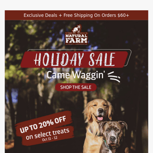 Get Holiday Treats For Your 🐕 | Up To 20% Off