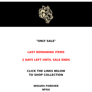 2 DAYS REMAINING - ONLY SALE