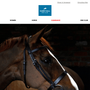 Free Reins with Bridles 🐴 Last Chance ⏰