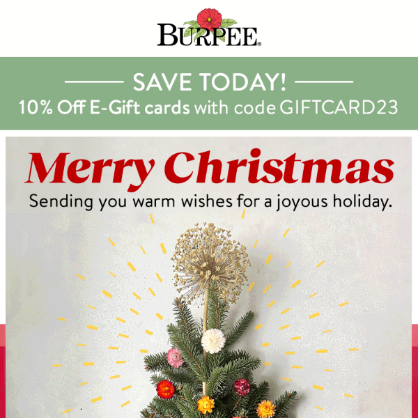 Merry Christmas from Burpee 🎄