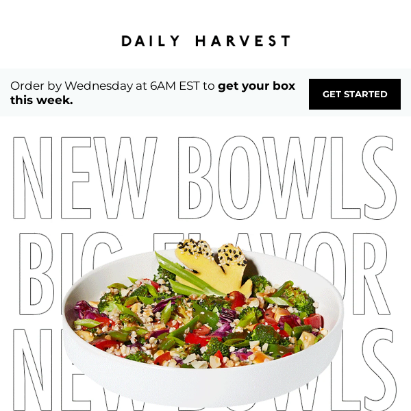 NEW harvest bowls + $65 off