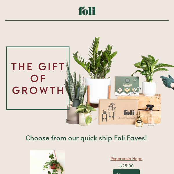 Give the gift of growth!