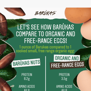 Say Goodbye to Eggs & Hello to Barùkas!