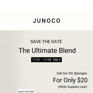 Snag them on 11/21: Every bestselling JUNOCO Sponge for $20