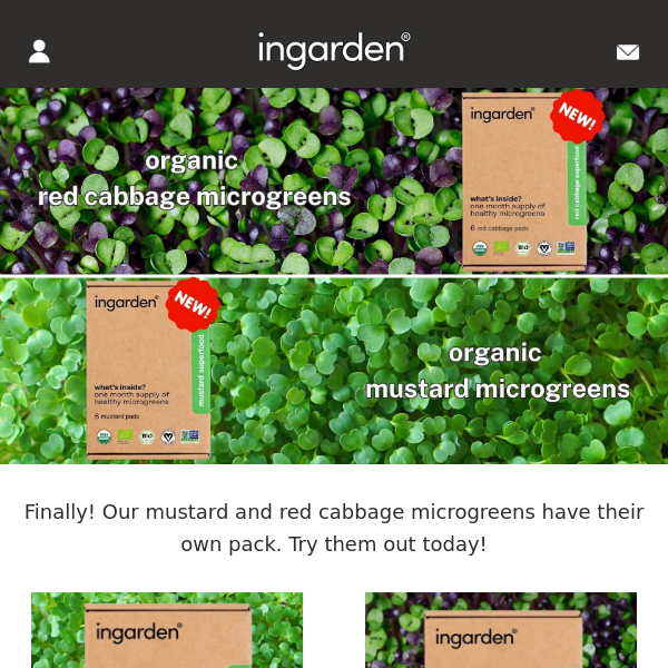 New: Organic Mustard and Red Cabbage Single Packs