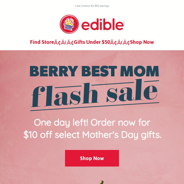 ⏰ Mother's Day sale ends tonight ⏰