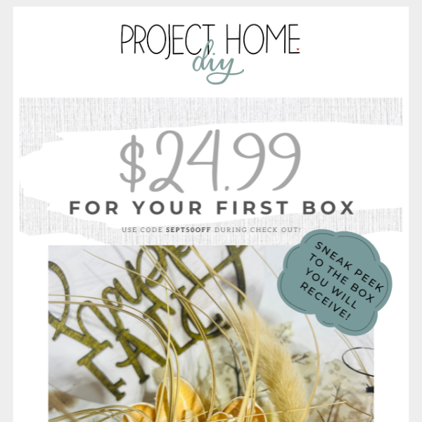 Wait...WHAT! $24.99 for your first box! 😀