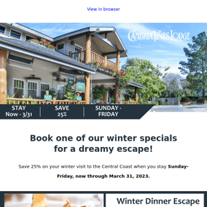 Book Today and Save 25% on Rooms with our Special Winter Offers!