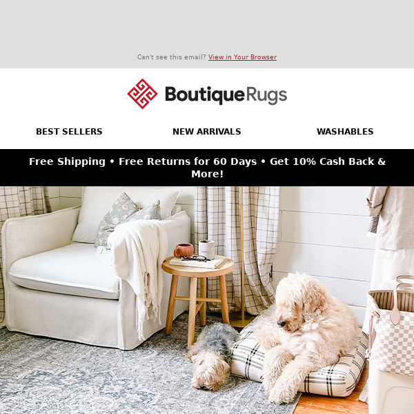 Calling All Fur Parents: Pet-Friendly Rugs Await! 🐶🐱