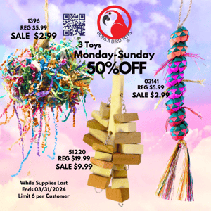 Weekly Exclusive: Save 50% on 3 Handpicked Bird Toys! 🐦🎁