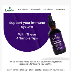 4 tips to SUPPORT your immunity