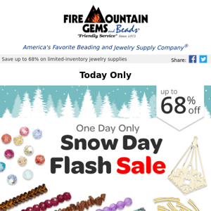 It's a Snow Day Flash SALE!