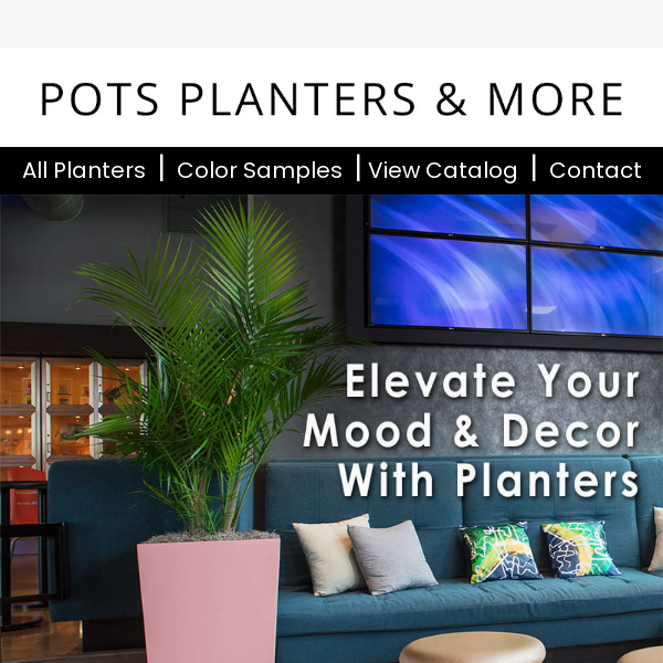 Transform Your Space with Chic Indoor Planters