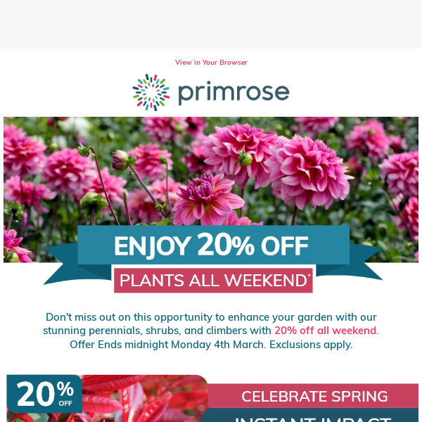 SAVE 20% Off Plants